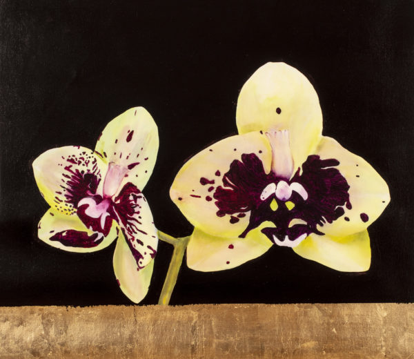 Robert Falcone
sold